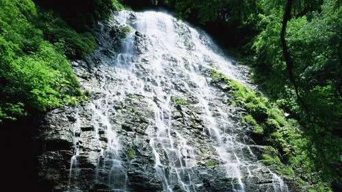 稳定性高标准